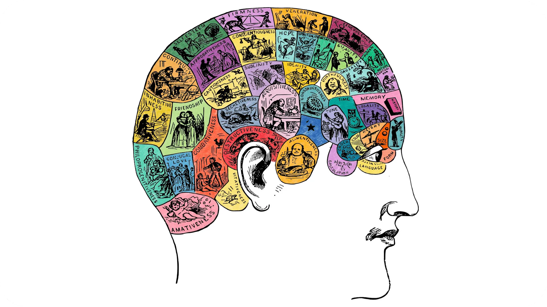 Illustration of a head with different traits inside such as hope, destructiveness, self-esteem, etc.